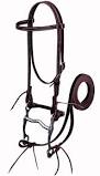 Bridle w/ Buckles